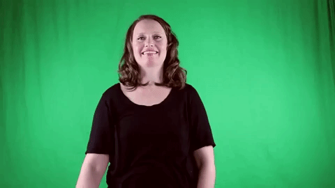 ASL sign for plan — animated demonstration