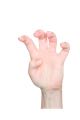 Bent 4 handshape